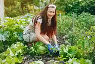 Herb Garden at Wadhwa Artek Park